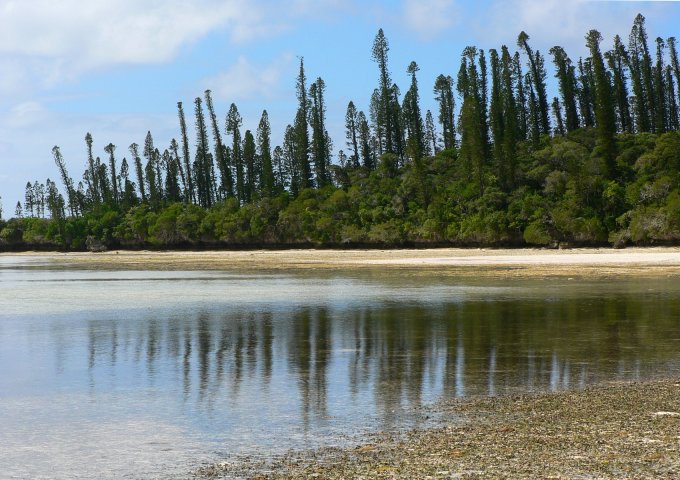 84- La baie d'Oro, maree basse 